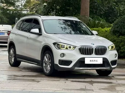 2019 BMW X1 sDrive20Li Leading Model, фото 3, лот 11199941