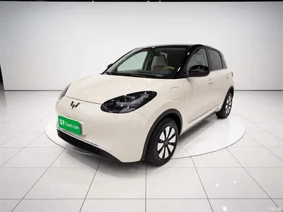 2025 Wuling Motors Wuling Bingo Model 333km Smart Connect, фото 1, лот 10372012