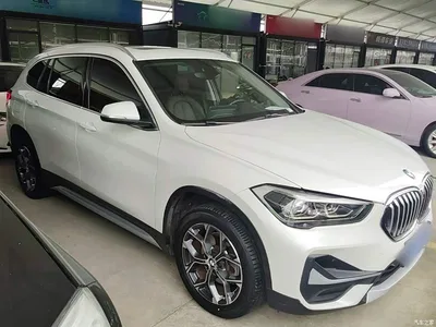 2020 BMW X1 sDrive20Li Premium Edition, фото 4, лот 11002638