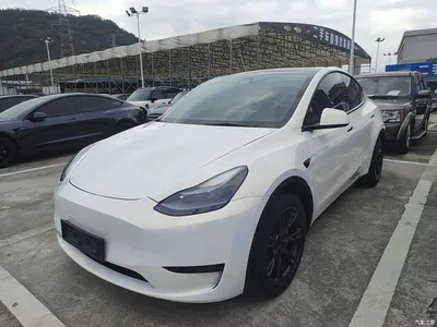 2024 Tesla Model Y Rear-Wheel Drive Version, фото 3, лот 10405181