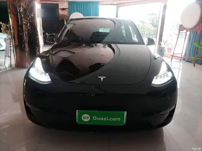 2021 Tesla Model Y Standard Range Rear-Wheel Drive, фото 3, лот 10369613