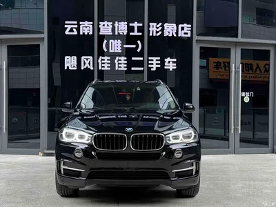 2017 BMW X5 (Import) xDrive35i Elegance, фото 2, лот 11205294