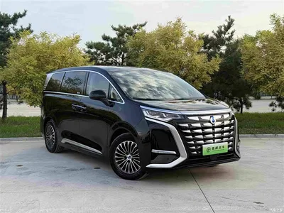 2022 Denza D9 DM-i 970 All-Wheel Drive Honor Edition, фото 3, лот 10666779