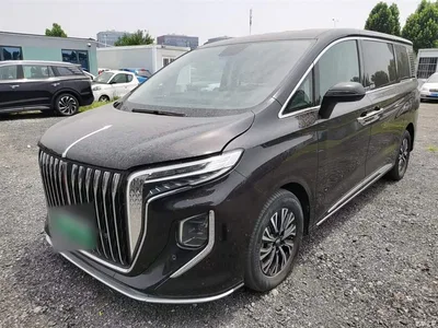 2024 Hongqi HQ9 PHEV Model 2.0T AWD Business Edition, фото 1, лот 10289719