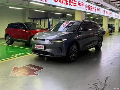 2021 Leapmotor C11 Model Premium Edition, фото 1, лот 10443951
