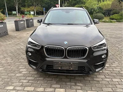 2018 BMW X1 xDrive20Li Premium Model, фото 2, лот 10466033
