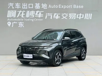2021 Hyundai Tucson L 1.5T DCT LUX Premium, фото 1, лот 10368713