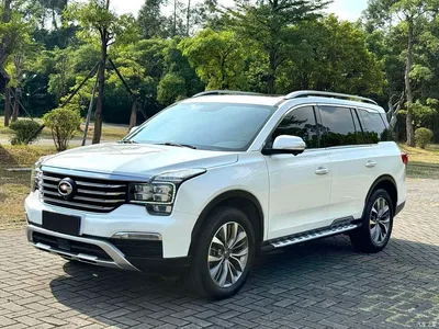 2017 GAC Trumpchi Trumpchi GS8 320T 2WD Luxury Smart Connect (7-seater), фото 1, лот 11348051