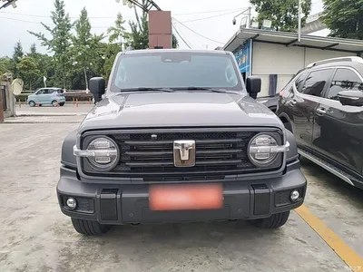 2024 Tank 300 Model 2.0T Challenger, фото 3, лот 10345430