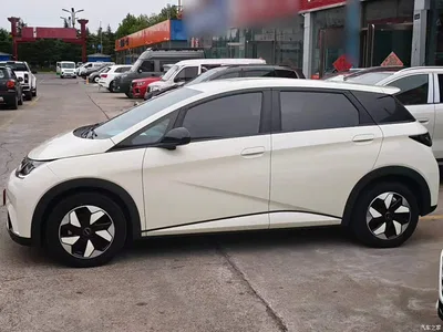 2025 BYD Dolphin Smart Drive Edition 420km Freedom Version, фото 4, лот 10476252