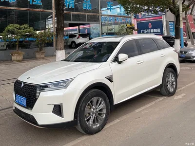 2020 Venucia Star 260T Automatic 48V Mild Hybrid Turbo Star Enjoy Edition, фото 1, лот 11168230