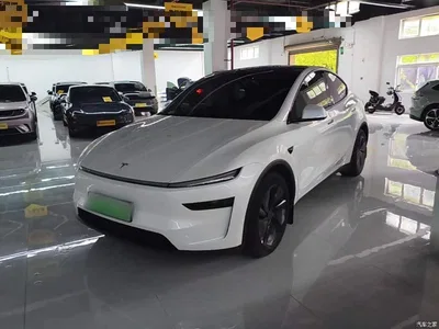 2025 Tesla Model Y Long Range All-Wheel Drive, фото 1, лот 10369886