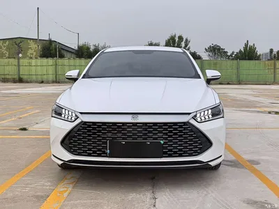 2023 BYD Qin PLUS Champion Edition DM-i 55KM Leading, фото 2, лот 11002508