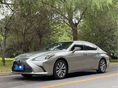 2020 Lexus ES 200 Excellence, фото 1, лот 10284950