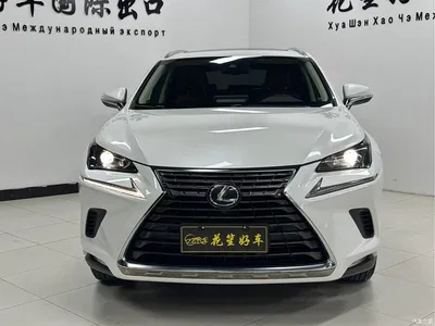2020 Lexus NX 200 AWD F Sport China VI, фото 2, лот 10317217