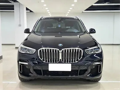 2022 BMW X5 xDrive 30Li Premium M Sport Package, фото 1, лот 10463083
