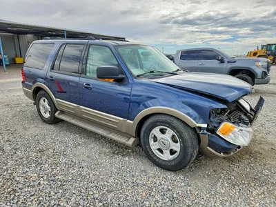 2004 FORD EXPEDITION EDDIE BAUER, фото 4, лот 10981805