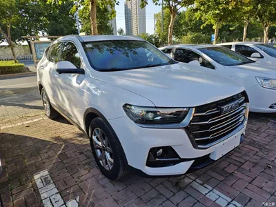 2021 Haval H6 Model National Trend Edition 1.5T Auto Champion, фото 4, лот 11570842