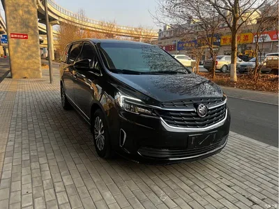 2022 Buick GL8 Land Business Class 652T Luxury, фото 4, лот 10248831