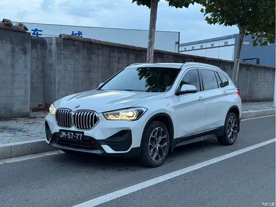 2020 BMW X1 sDrive25Li Leading Model, фото 3, лот 11193987
