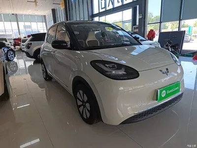 2024 Wuling Motors Wuling Bingo 333km Comfort Edition, фото 4, лот 10368548