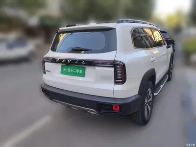 2021 Haval Big Dog 1.5T DCT 2WD Labrador Edition, фото 4, лот 11175797