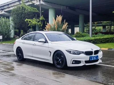 2017 BMW 4 Series 425i Gran Coupe Leading M Sport Package, фото 3, лот 10468662