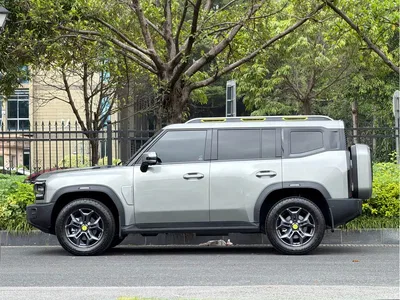 2023 Jetour Traveler 2.0T 4WD Cross PRO+, фото 3, лот 10427848