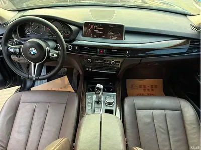 2015 BMW X5 (Import) Model xDrive35i China Limited Edition, фото 4, лот 11140771