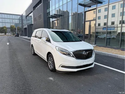 2018 Buick GL8 ES 28T Flagship Type China VI, фото 3, лот 10252487