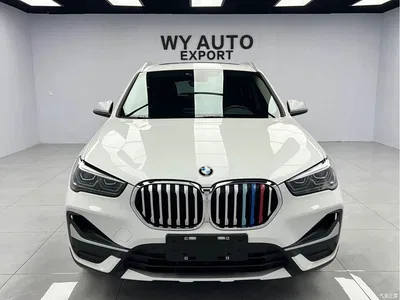 2022 BMW X1 sDrive20Li Premium, фото 2, лот 10395357