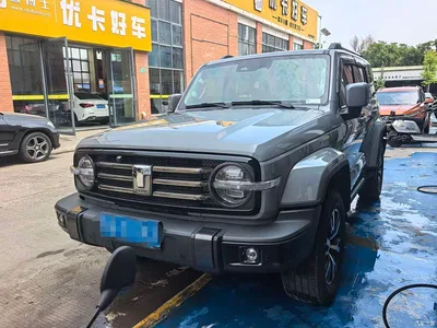 2023 Tank 300 Urban Edition 2.0T Very Stylish, фото 1, лот 10345223