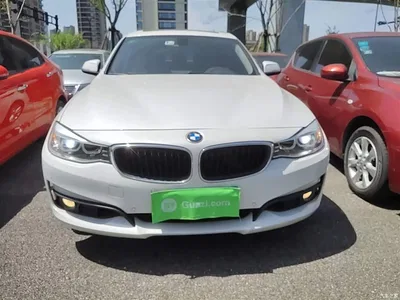 2016 BMW 3 Series GT 320i Fashion Style, фото 3, лот 10473626