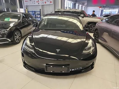 2022 Tesla Model 3 Model Rear-Wheel Drive Version, фото 3, лот 10481677