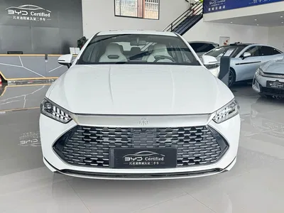 2024 BYD Qin PLUS Glory Edition DM-i 120KM Leading, фото 2, лот 10361566
