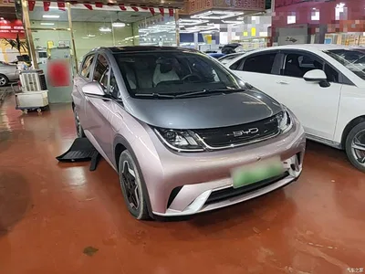 2021 BYD Dolphin Model 405km Fashion Edition, фото 4, лот 10479135