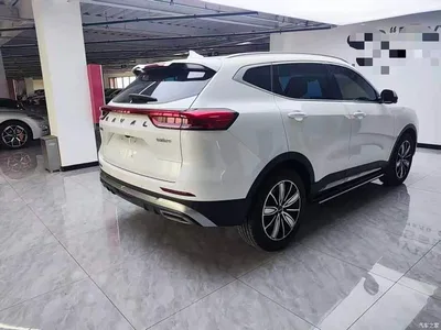 2023 Haval H6 National Trend Edition 1.5T Automatic Champion, фото 4, лот 10283015