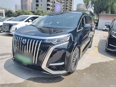 2024 Denza D9 EV 600 AWD Flagship, фото 1, лот 10346822
