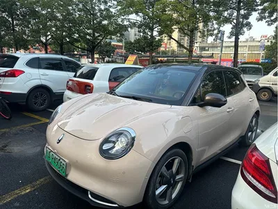2021 Ora Good Cat 400km Standard Range Athena Edition (LFP), фото 1, лот 10480938