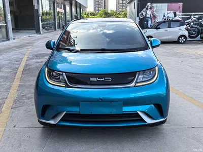2021 BYD Dolphin Model 405km Fashion Edition, фото 2, лот 10256672