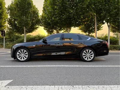 2023 Cadillac CT6 28T Premium Model, фото 4, лот 10446276