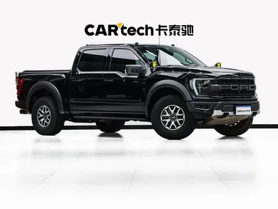 2023 Ford F-150 Raptor 3.5T Raptor, фото 3, лот 10293604