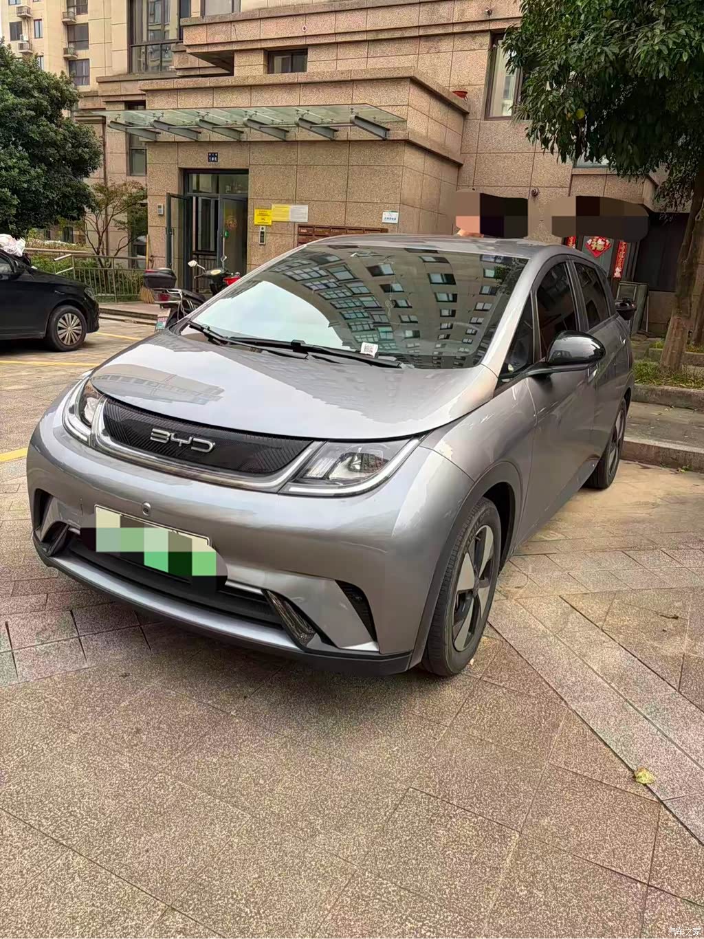 2023 BYD Dolphin 420km Fashion Edition, фото 1, лот 11202239