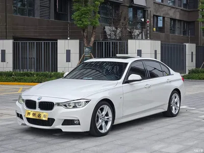 2017 BMW 3 Series 320Li M Sport, фото 1, лот 10769159