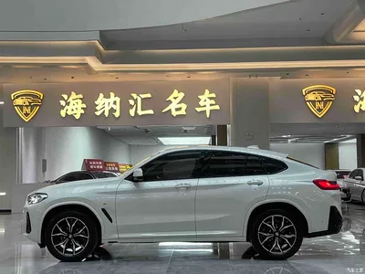 2022 BMW X4 xDrive 25i M Sport Package, фото 2, лот 10477087