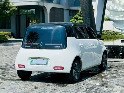 2020 Ora White Cat 305km Luxury, фото 3, лот 10888138