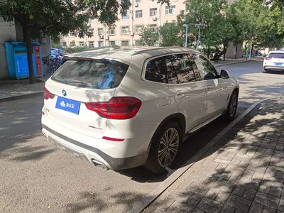 2018 BMW X3 xDrive28i Luxury Package China VI, фото 4, лот 11095003
