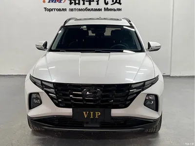 2023 Hyundai Tucson L 1.5T Automatic 2WD LUX Premium Edition, фото 2, лот 10374235