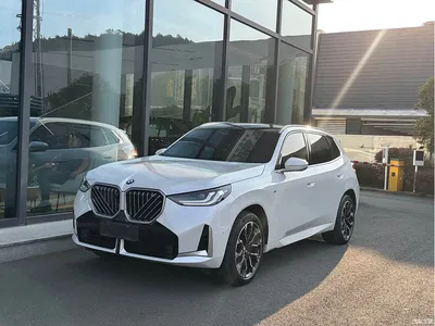 2025 BMW X3 xDrive30L Leading M Sport Package, фото 1, лот 10577187
