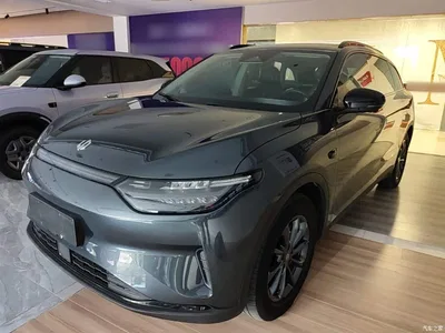 2023 Leapmotor C11 Pure Electric 500 Comfort Edition, фото 1, лот 11585642